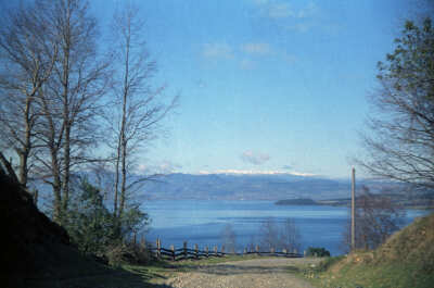 plano general de un camino de tierra que desciende hacia lago Ranco. Sector no identificado