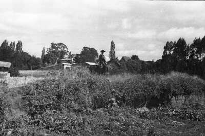 Retrato de plano general de un hombre posando montado en un caballo, el hombre está vestido de huaso chileno, está al medio de un área verde